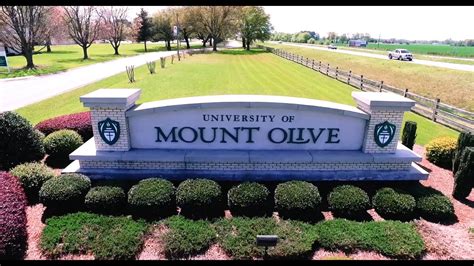 university of mount olive|university of mount olive acceptance rate.